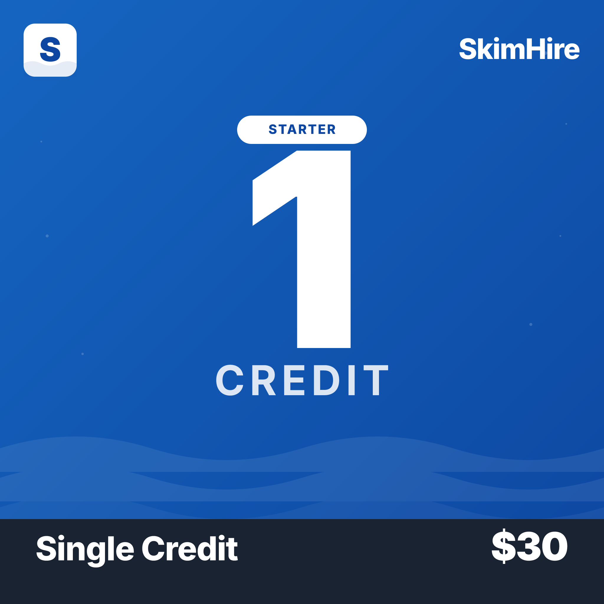 Single Credit — 1 SkimHire search credit, $30